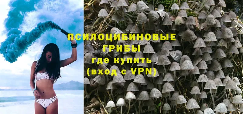 Псилоцибиновые грибы прущие грибы  Шумерля 